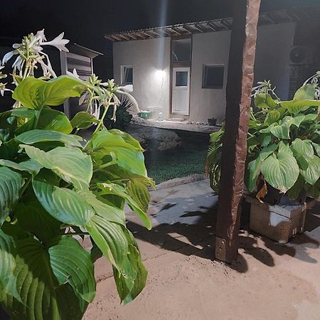 Lymore Guest House Palamarza Bagian luar foto