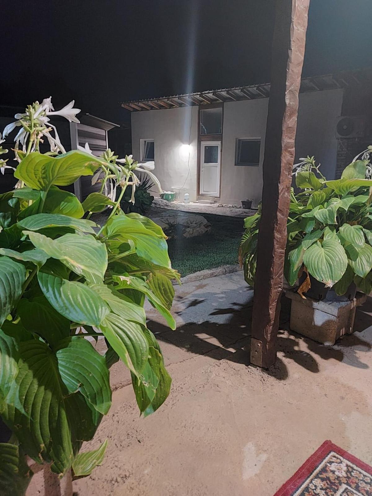 Lymore Guest House Palamarza Bagian luar foto